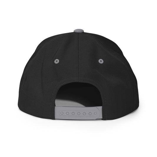 Snapback | Fenvex | Black & Silver